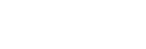 LDV-logo